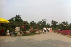 ��Ϧ���졿����ʯ�ߡ������¡��Ͼ�ɽ������ɽ�������ǽ5����