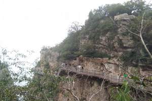 ֣������̨ɽ����ɽ+���������ִ��+��������ĵ��԰Ʒ��������