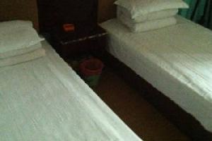 ���ݺ�̩����