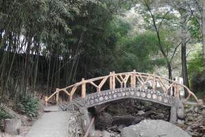 �ﴨ��կ����̬������