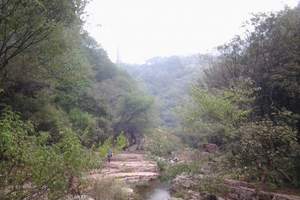 �����������Ρ��������š������¡�����ݡ���̶Ͽ3����