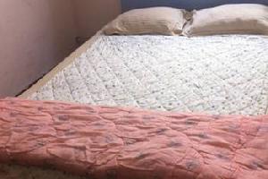 ������Ũ�ù�