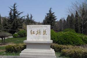 ֣�ݵ�������һ����-������������-֣��������