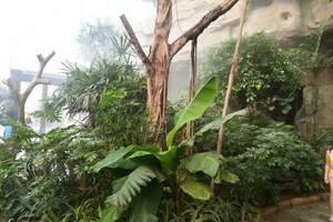 ������̨��Ȫ