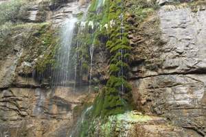 ������̨ɽȪ��Ͽ