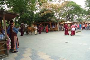 ������������·_���������α�ȥ���ξ���_��������������·����