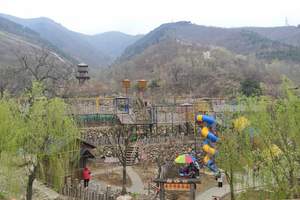 ������������ѧ����������ʯ�ߡ����������顢���ֹ���+��������