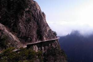 ��20��С�š������Ͼ�ɽ�����š�����ݡ����֣����Ĺ��4����