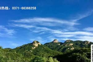 ֣�ݳ���ȥ��̩ɽ�Ͷž黨����һ����_������̩ɽ�Ž����κ�����