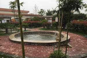 ����������Ȫ