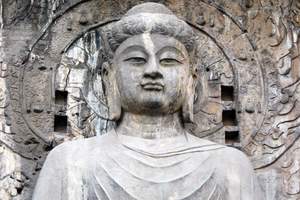 �������ƶ� �����Ļ������Ρ�������̨ɽ���������Ű�����������